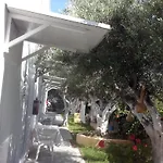 Level דירה *