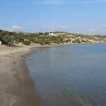 Level