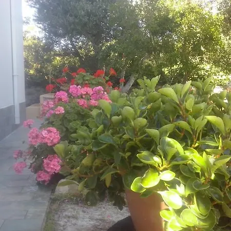 Lejlighed Level Kéfalos