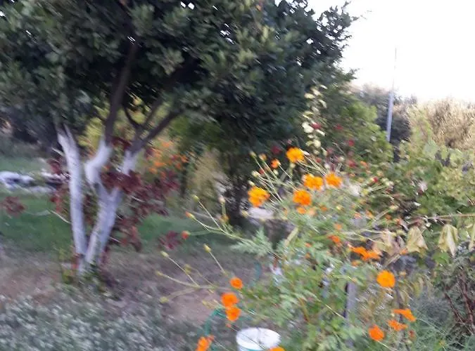 Lejlighed Level